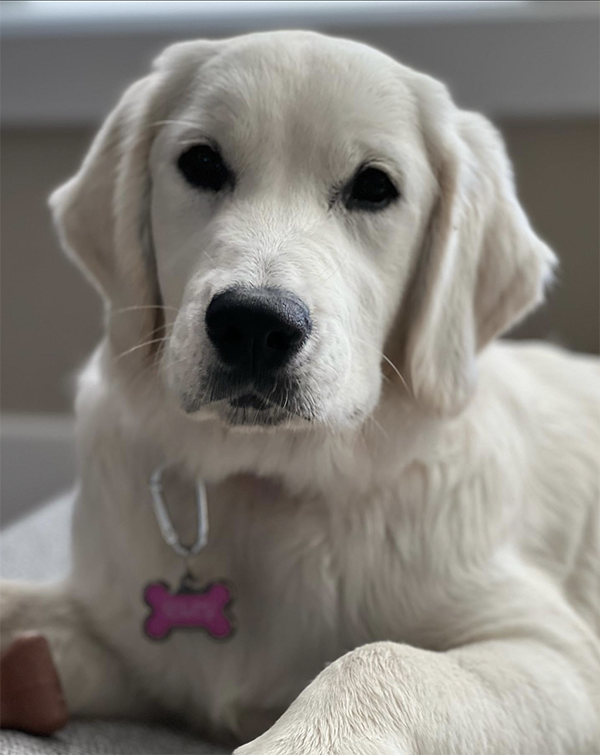 Riley5