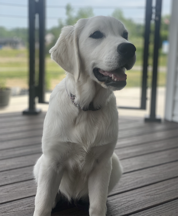 Riley7