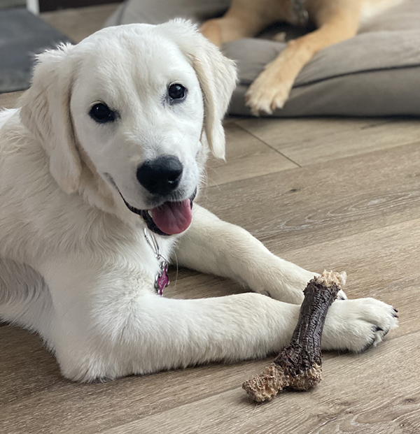 riley8