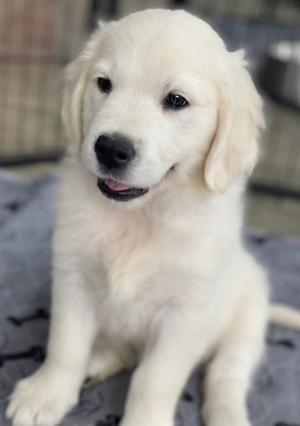 riley9