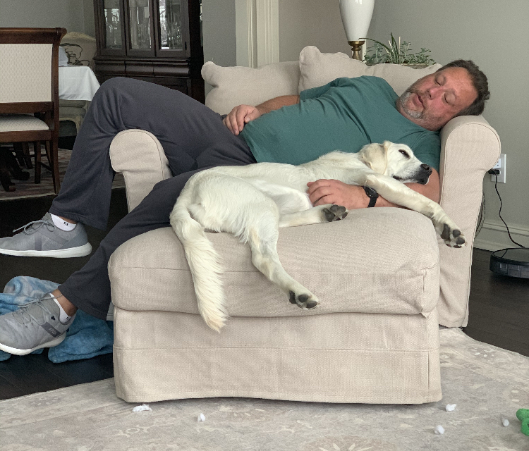 Indiana golden retriever breeder